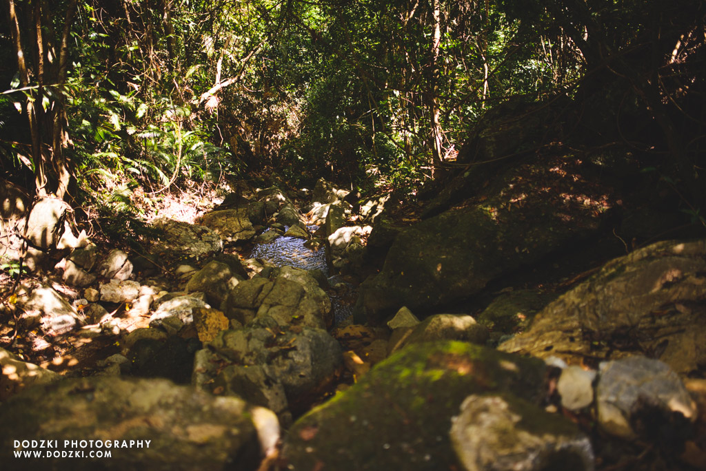 Pamutan to Buhisan Trek