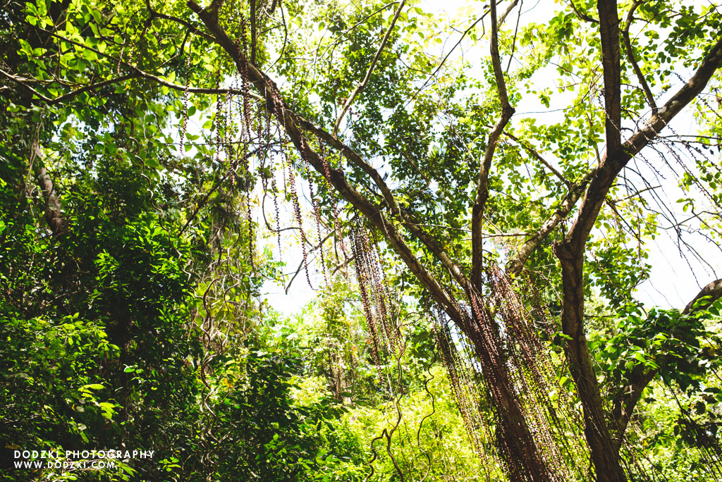 Pamutan to Buhisan Trek