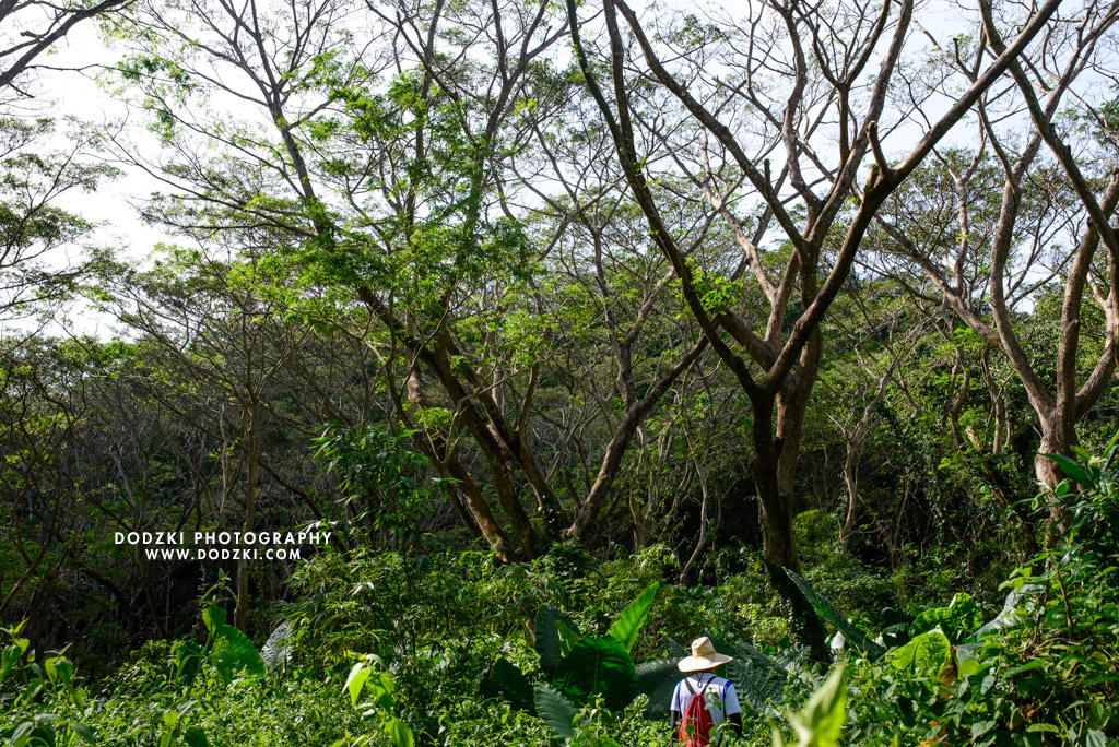 Pamutan to Buhisan Trek