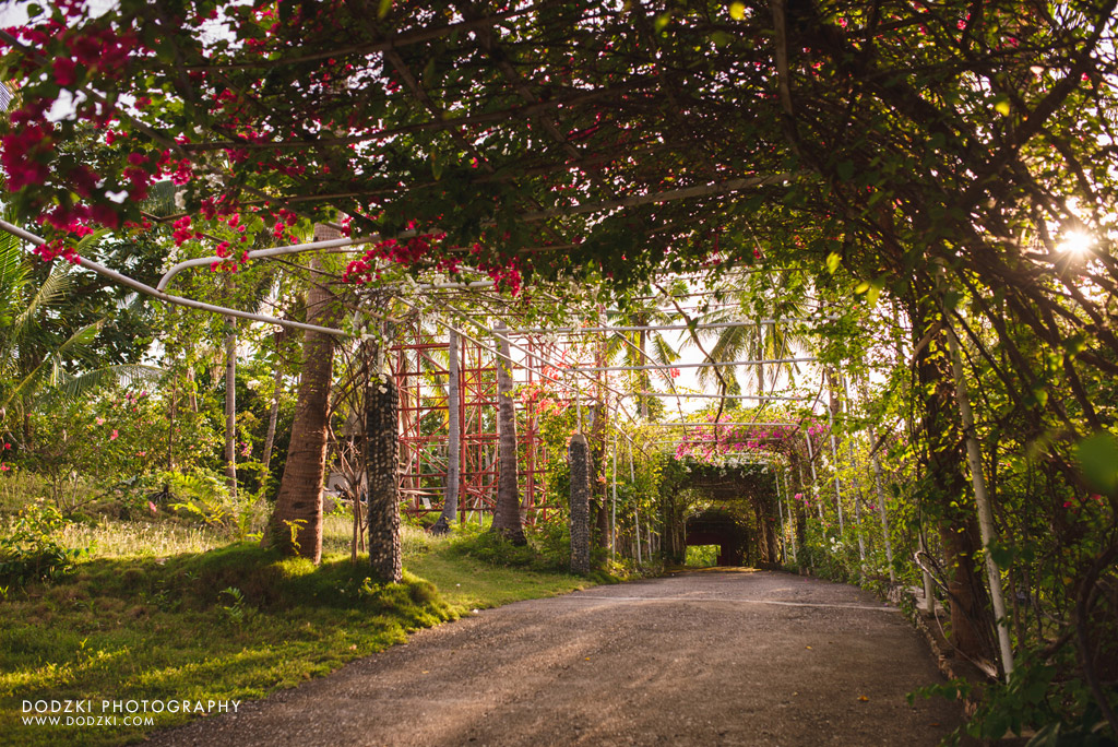 Bunzie's Cove - Corporate Photograph by Dodzki Photography